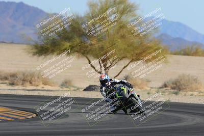 media/Feb-04-2023-SoCal Trackdays (Sat) [[8a776bf2c3]]/Turn 4 (Tree of Life 2pm)/